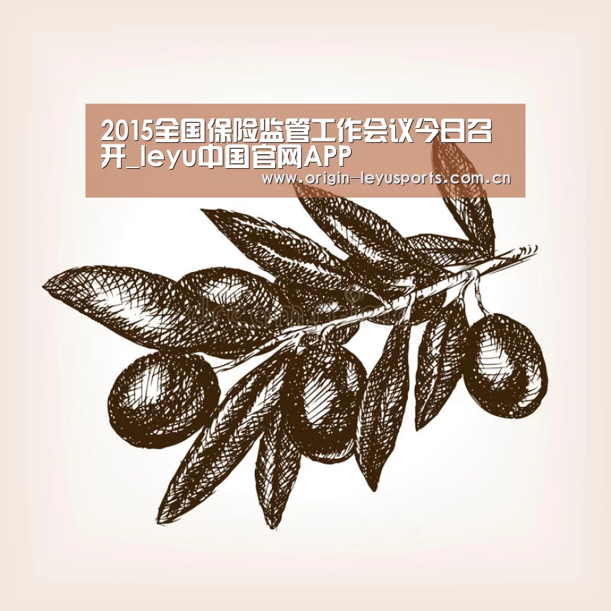 2015全国保险监管工作会议今日召开_leyu中国官网APP(图3) 2015全国保险监管工作会议今日召开_leyu中国官网APP(图3)