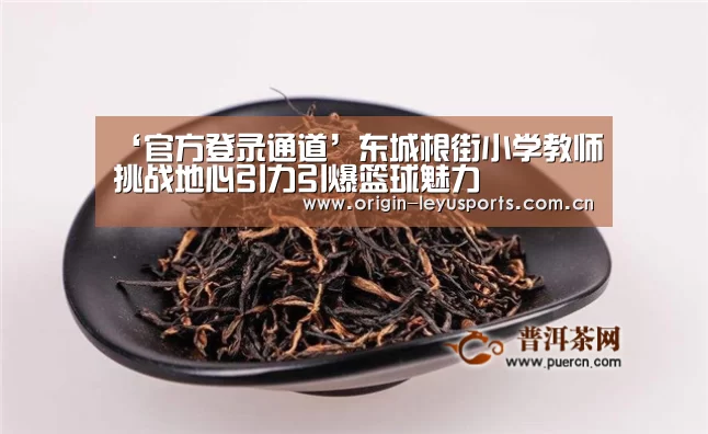 ‘官方登录通道’东城根街小学教师挑战地心引力引爆篮球魅力(图3) 中国站入口