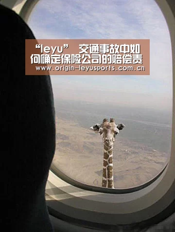 “leyu”
交通事故中如何确定保险公司的赔偿责任(图4) “leyu”
交通事故中如何确定保险公司的赔偿责任(图4)