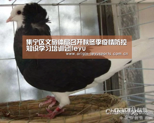 集宁区文旅体局召开秋冬季疫情防控知识学习培训会|leyu(图3)
集宁区文旅体局召开秋冬季疫情防控知识学习培训会|leyu(图3)