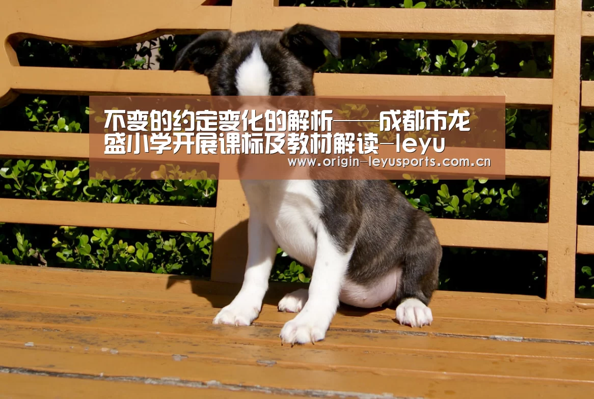 不变的约定变化的解析——成都市龙盛小学开展课标及教材解读-leyu(图4) 不变的约定变化的解析——成都市龙盛小学开展课标及教材解读-leyu(图4)