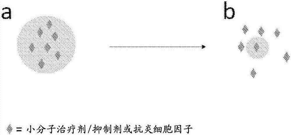 中牟县百花路幼儿园开展防震避震疏散演练活动|官方登录通道(图1) 中牟县百花路幼儿园开展防震避震疏散演练活动|官方登录通道(图1)