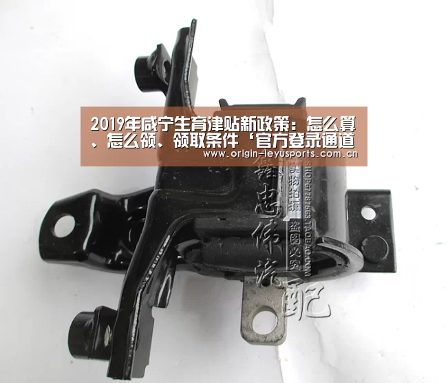 2019年咸宁生育津贴新政策：怎么算、怎